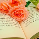 Os 10 melhores livros de Jojo Moyes em 2024: Como Eu Era Antes de Você, Um Mais Um e muito mais!