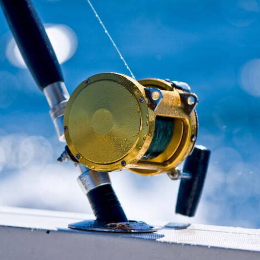 Os 10 melhores molinetes para pesca de praia de 2024: da Daiwa, Okuma e mais!