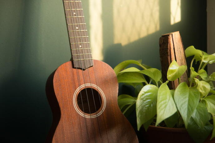 Cavaquinho e planta