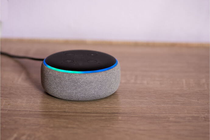 Alexa echo dot.