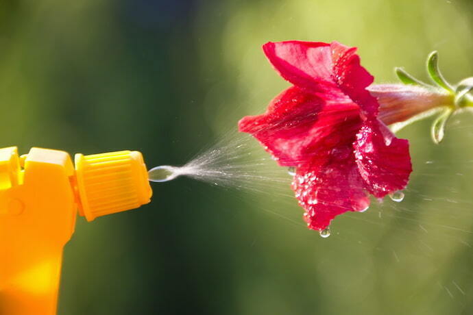 Adubo para flores líquido.