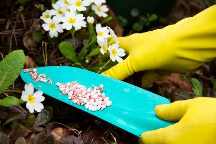 Adubo para flores sólido.