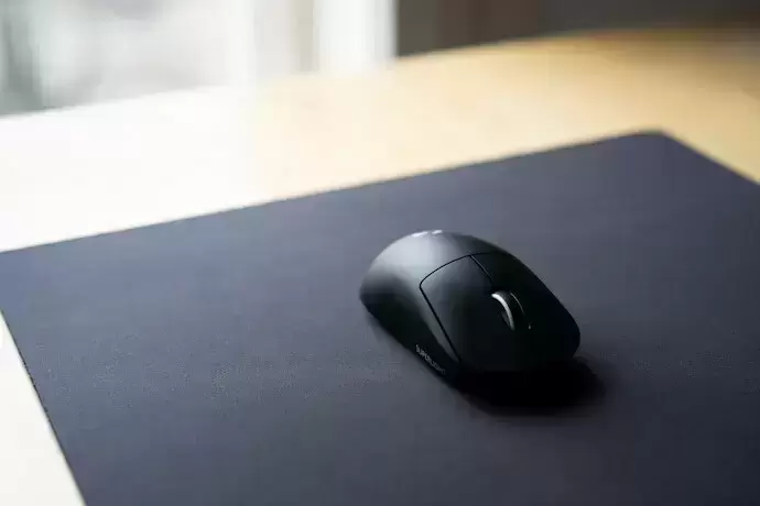 mouse