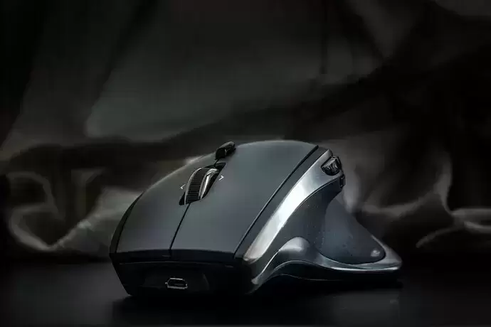 mouse