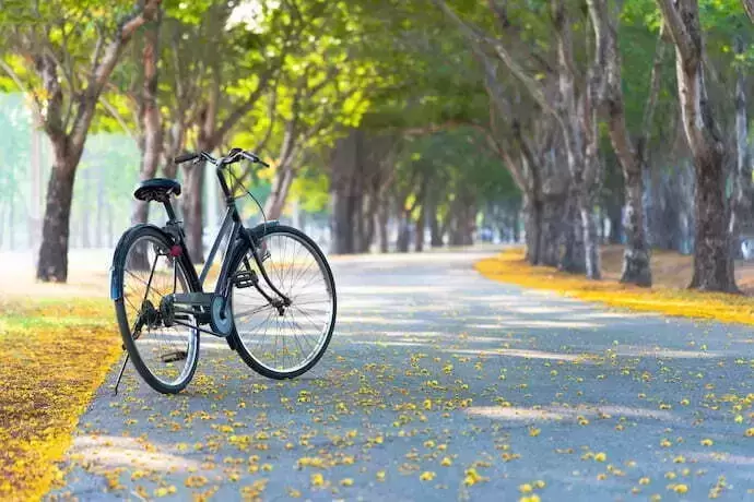 Bicicleta