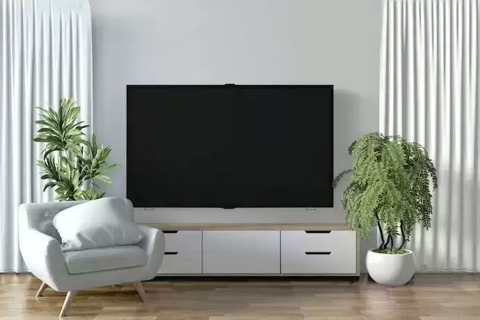 TV