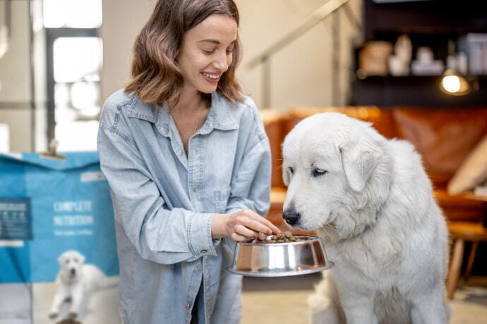 Mulher alimenta um cachorro com comida seca em casa.