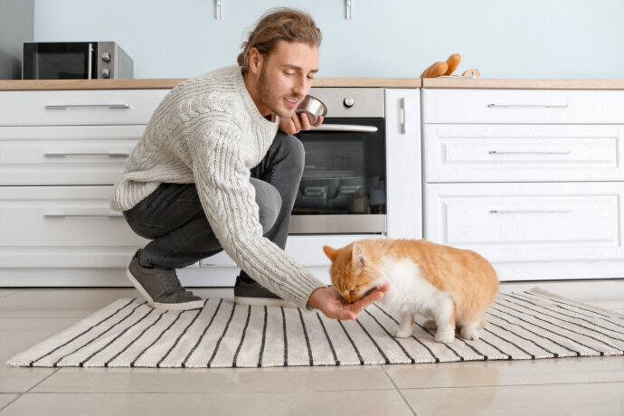 Homem dando petiscos para o gato