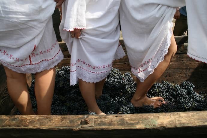 Pessoas pisando em uvas